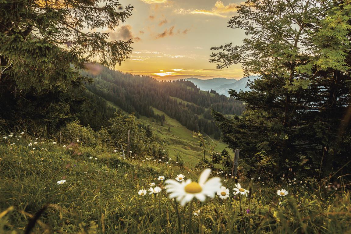 Grand Resort Bad Ragaz 19