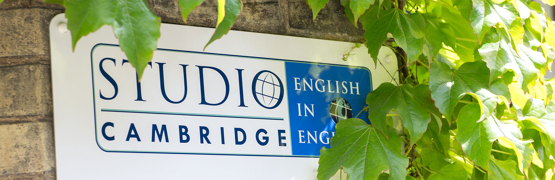 Studio Cambridge (центр Main School)
