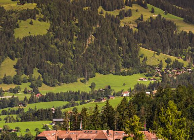 Hotel Park Gstaad  17