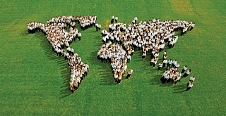 Les Roches International School of Hotel Management 2